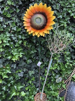 zonnebloem , bloem , tuinstekker - 1