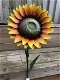 zonnebloem , bloem , tuinstekker - 4 - Thumbnail