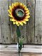 zonnebloem , bloem , tuinstekker - 6 - Thumbnail