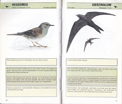 Snel-zoek natuurgids: Vogels - 2