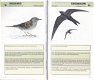 Snel-zoek natuurgids: Vogels - 2 - Thumbnail