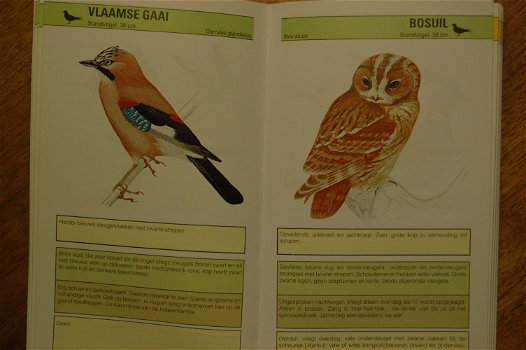Snel-zoek natuurgids: Vogels - 3