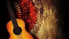 Flamenco Spaanse Gitaar Video Lessen Afspeellijst - cursus - 6 - Thumbnail