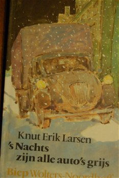 Knut Erik Larsen: 's Nachts zijn alle auto's grijs - 0