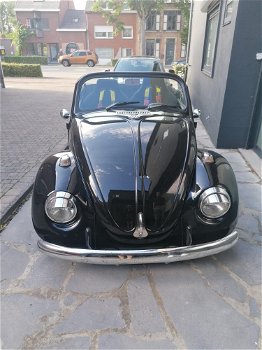 Tweedehands Volkswagen Beetle Speedster - 2