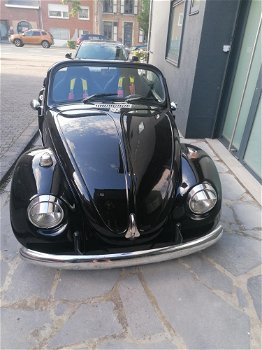 Tweedehands Volkswagen Beetle Speedster - 6