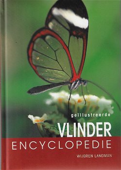Geïllustreerde VLINDER encyclopedie - 0