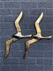Paar forse silhouette meeuwen-vogel silhouet-vogel-deco - 0 - Thumbnail