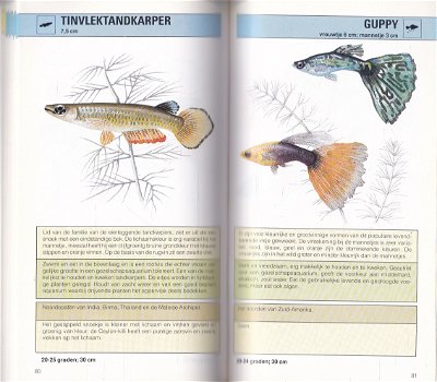 Aquariumvissen (snel-zoek-natuurgids) - 2
