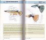 Aquariumvissen (snel-zoek-natuurgids) - 2 - Thumbnail