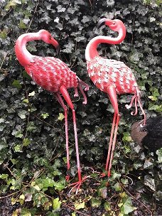 flamingo , tuindecoratie