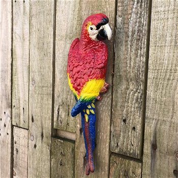 papegaai ,tuindecoratie - 1