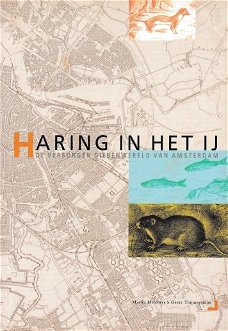 Haring in het IJ