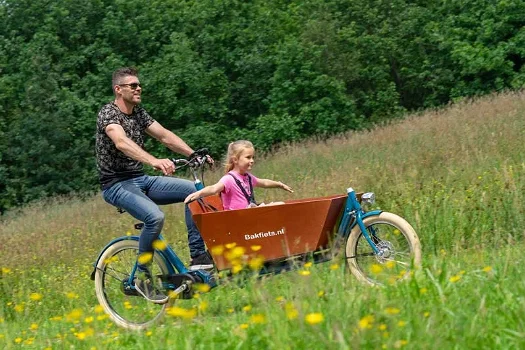 DIRECT UIT VOORRAAD LEVERBAAR - Elektrische Bakfiets Cruiser Long Steps - 4