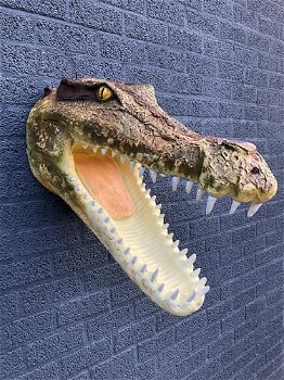 muurdecoratie krokodil , krokodil - 7