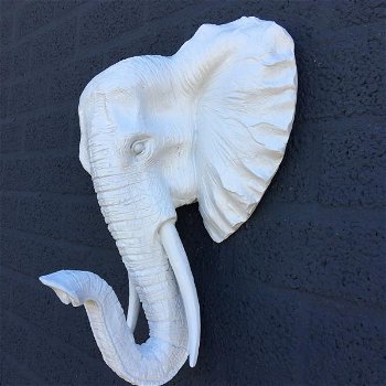 olifant , muurdecoratie - 1