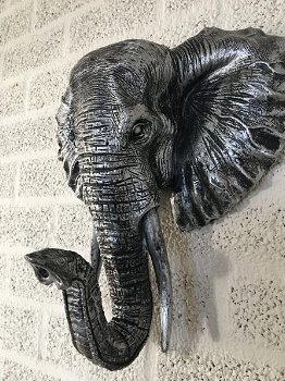 olifant , olifantenhoofd , dierenkop - 0