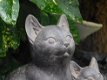 katten beeld , kat , poes - 1 - Thumbnail