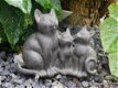 katten beeld , kat , poes - 2 - Thumbnail