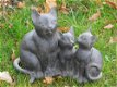 katten beeld , kat , poes - 3 - Thumbnail