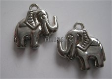 bedel/charm op = op: olifant (acryl)- 20x20 mm 