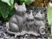 katten beeld , kat , poes - 0 - Thumbnail