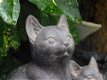 katten beeld , kat , poes - 1 - Thumbnail