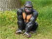 aap , gorilla , kado - 1 - Thumbnail