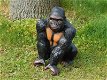 aap , gorilla , kado - 3 - Thumbnail