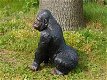 aap , gorilla , kado - 4 - Thumbnail