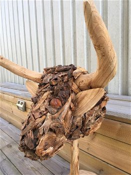 Stierenkop- gemaakt- hout-Monfort-stier- kunstwerk - 4