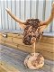 Stierenkop- gemaakt- hout-Monfort-stier- kunstwerk - 6 - Thumbnail