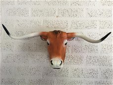 longhorn , stier , stierenkop