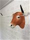 longhorn , stier , stierenkop - 3 - Thumbnail