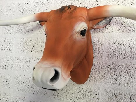 muurdecoratie stier , stier , longhoorn - 1