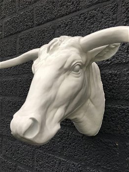 muurdecoratie stier , stier , longhoorn - 3