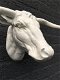 muurdecoratie stier , stier , longhoorn - 4 - Thumbnail