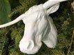 muurdecoratie stier , stier , longhoorn - 7 - Thumbnail