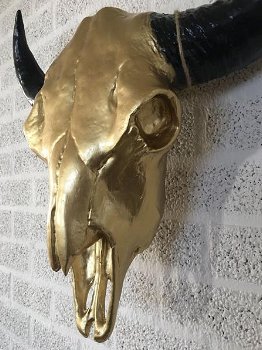 wanddecoratie , stier , stierenschedel - 2