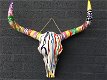 skull , stier - 3 - Thumbnail