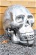 schedel , menselijk schedel - 0 - Thumbnail