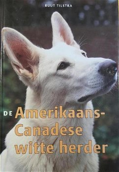 De Amerikaans-Canadese witte herder - 0