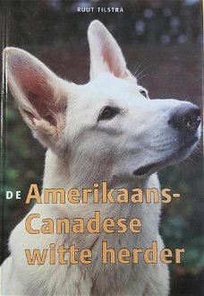 De Amerikaans-Canadese witte herder