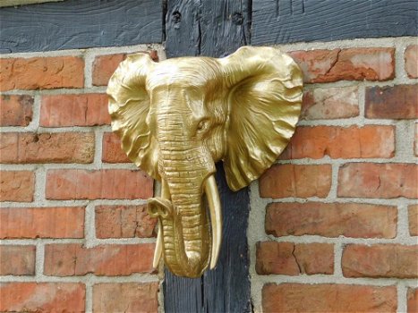 olifant , muurdecoratie - 0