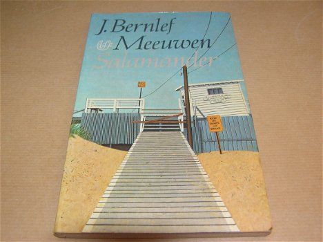 Meeuwen - J. Bernlef - 0
