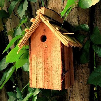 vogelhuisje, nestkast voor mezen, vogelhuis - 3