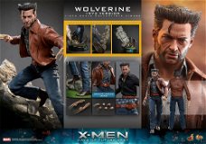 Hot Toys X-men Days Of Future Past Wolverine 1973 Deluxe Version MMS660