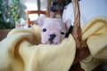 liefhebbende Franse Bulldog-puppy's beschikbaar en klaar - 2 - Thumbnail