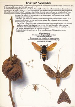 De wereld van de Insekten - 1