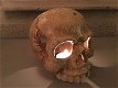 menselijk schedel , gietijzer , schedel - 4 - Thumbnail